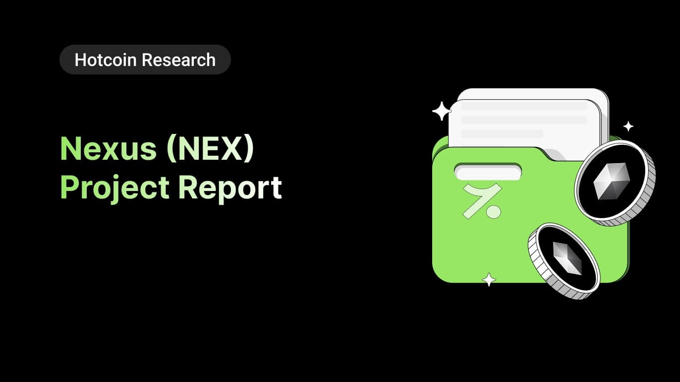 Nexus (NEX) Project Report